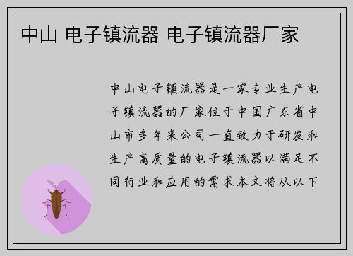 中山 电子镇流器 电子镇流器厂家